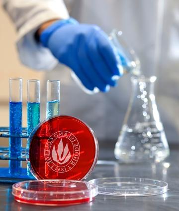 Liquid being poured into beaker, with RIC petri dish nearby