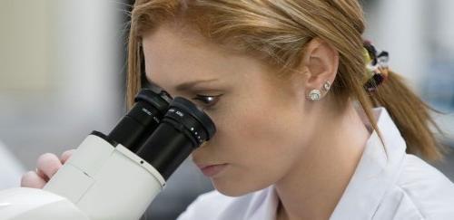 Student peering into the lens of a microscope